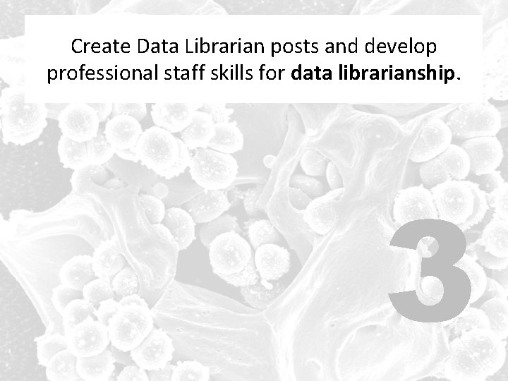 Create Data Librarian posts and develop professional staff skills for data librarianship. 3 