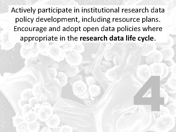 Actively participate in institutional research data policy development, including resource plans. Encourage and adopt