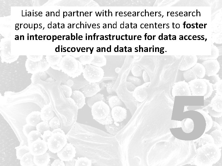 Liaise and partner with researchers, research groups, data archives and data centers to to