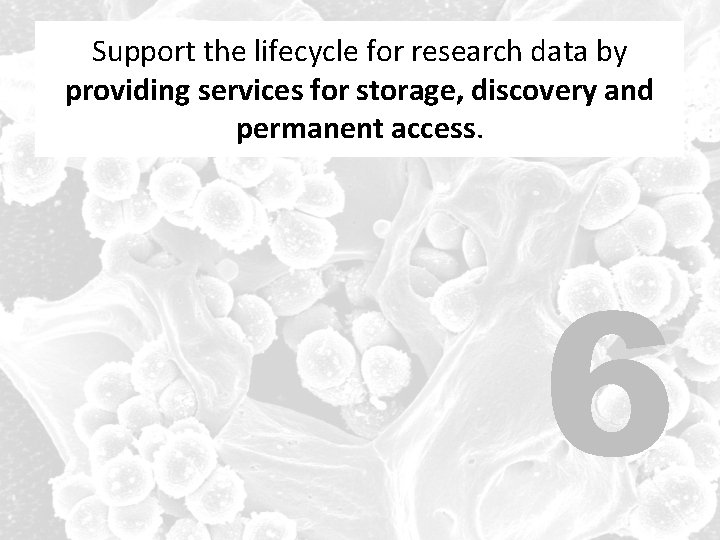 Support the lifecycle for research data by providing discovery and providing services for storage,
