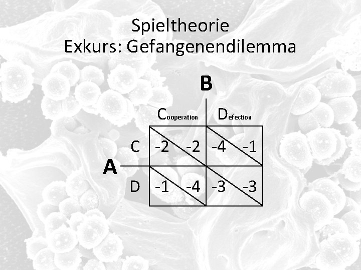 Spieltheorie Exkurs: Gefangenendilemma B C A ooperation D efection C -2 -2 -4 -1