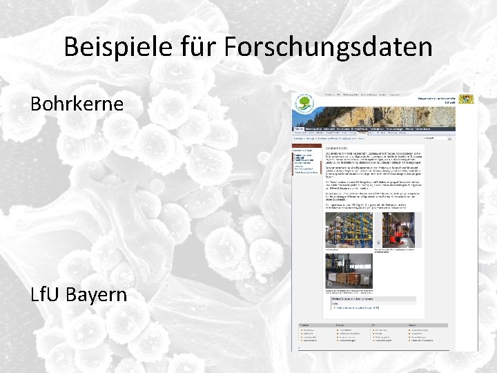 Beispiele für Forschungsdaten Bohrkerne Lf. U Bayern 