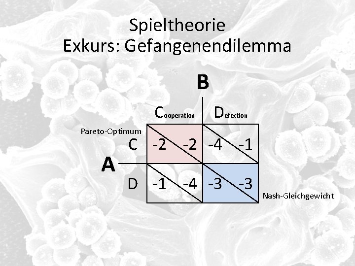 Spieltheorie Exkurs: Gefangenendilemma B C ooperation D efection Pareto-Optimum A C -2 -2 -4