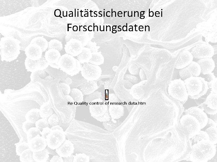 Qualitätssicherung bei Forschungsdaten 