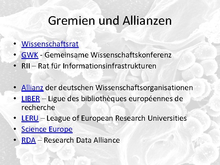 Gremien und Allianzen • Wissenschaftsrat • GWK - Gemeinsame Wissenschaftskonferenz • RII – Rat