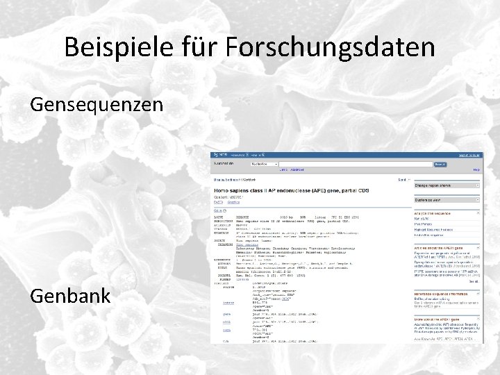 Beispiele für Forschungsdaten Gensequenzen Genbank 