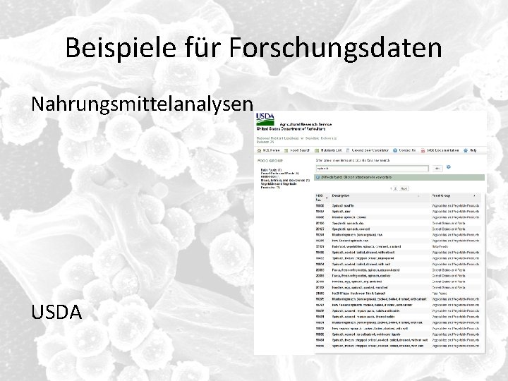 Beispiele für Forschungsdaten Nahrungsmittelanalysen USDA 