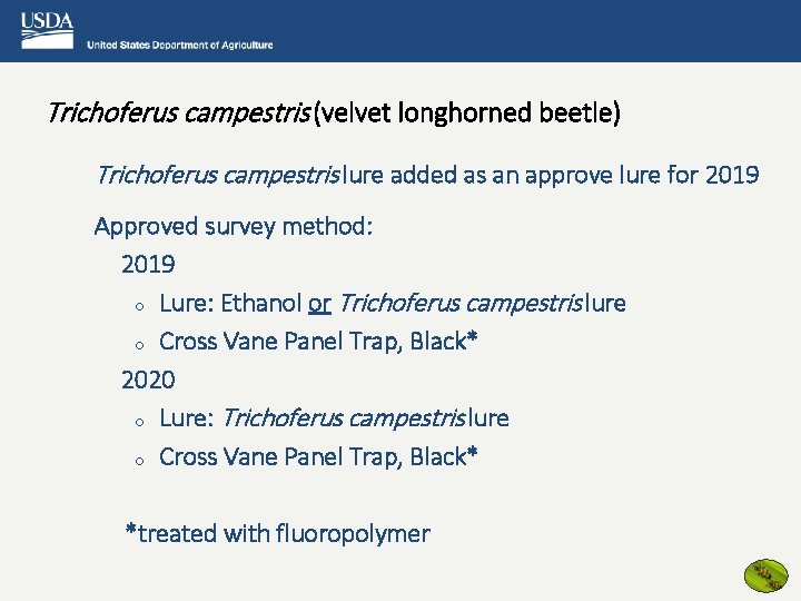 Trichoferus campestris (velvet longhorned beetle) Trichoferus campestris lure added as an approve lure for