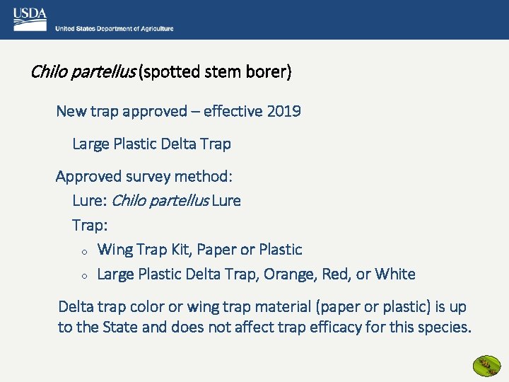 Chilo partellus (spotted stem borer) New trap approved – effective 2019 Large Plastic Delta