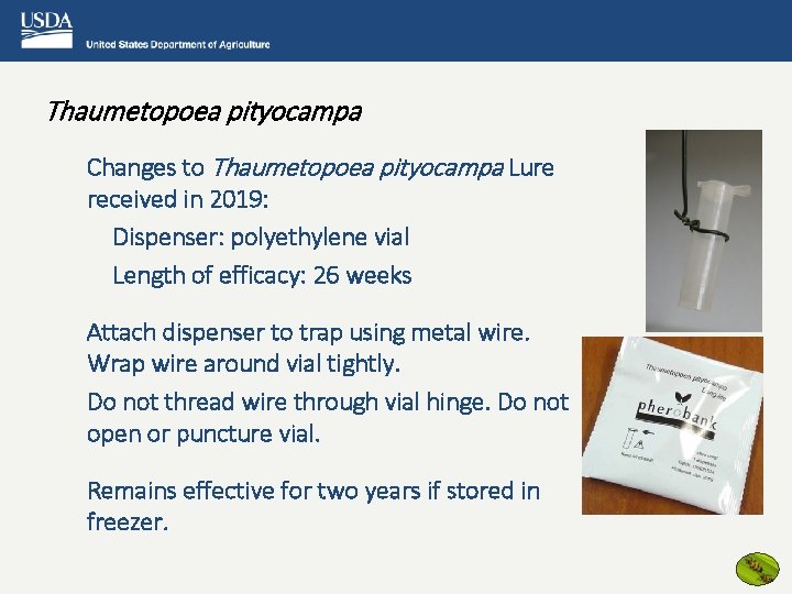 Thaumetopoea pityocampa Changes to Thaumetopoea pityocampa Lure received in 2019: Dispenser: polyethylene vial Length