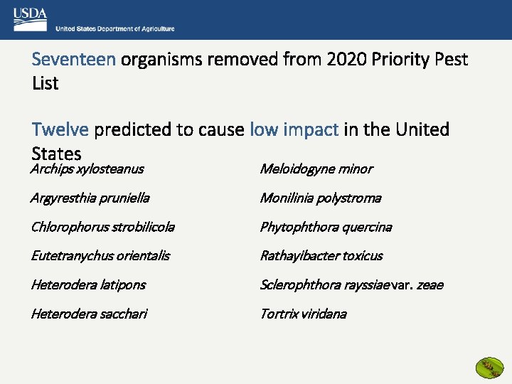 Seventeen organisms removed from 2020 Priority Pest List Twelve predicted to cause low impact