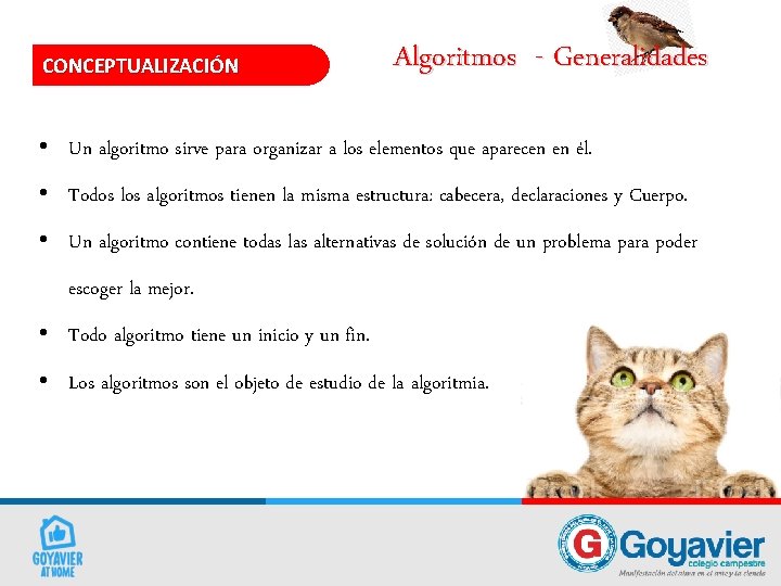 CONCEPTUALIZACIÓN Algoritmos - Generalidades • Un algoritmo sirve para organizar a los elementos que