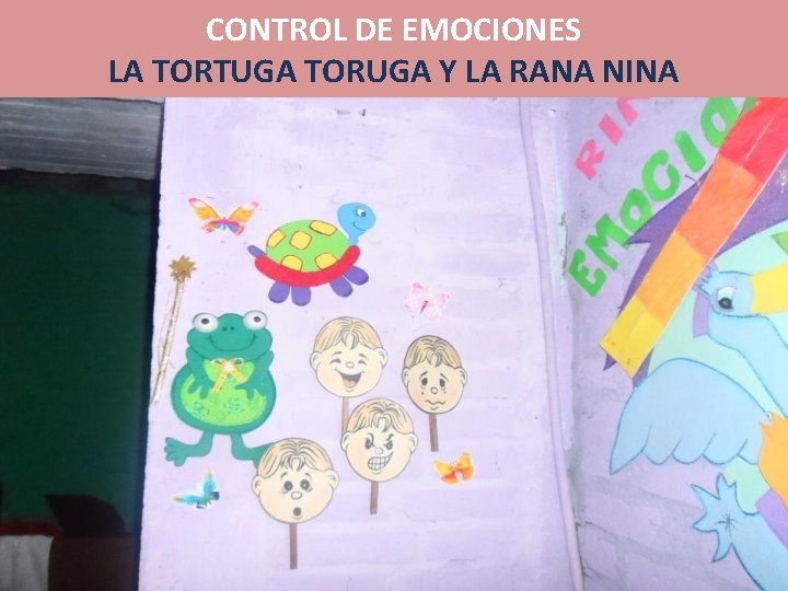 CONTROL DE EMOCIONES LA TORTUGA TORUGA Y LA RANA NINA 