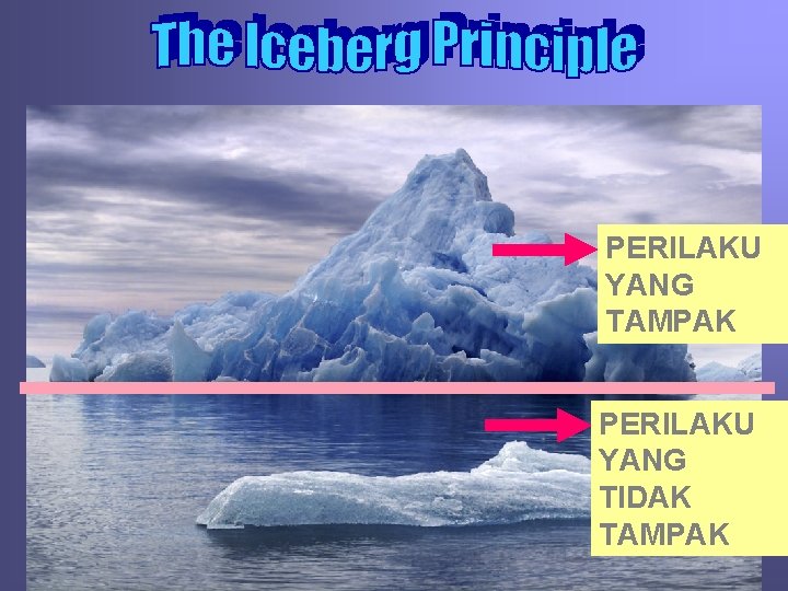 PERILAKU YANG TAMPAK PERILAKU YANG TIDAK TAMPAK 