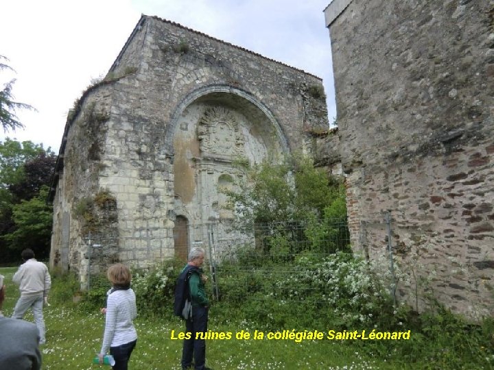 Les ruines de la collégiale Saint-Léonard 