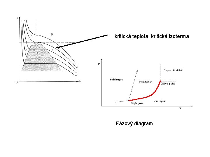 kritická teplota, kritická izoterma Fázový diagram 