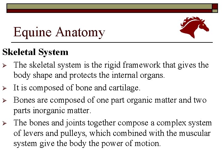 Equine Anatomy Skeletal System Ø Ø The skeletal system is the rigid framework that