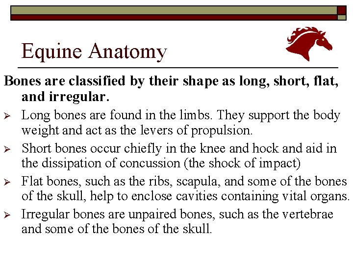 Equine Anatomy Bones are classified by their shape as long, short, flat, and irregular.