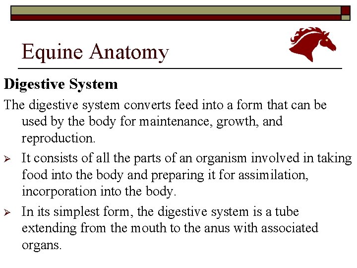 Equine Anatomy Digestive System The digestive system converts feed into a form that can