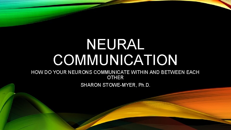 NEURAL COMMUNICATION HOW DO YOUR NEURONS COMMUNICATE WITHIN AND BETWEEN EACH OTHER SHARON STOWE-MYER,