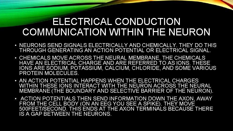 ELECTRICAL CONDUCTION COMMUNICATION WITHIN THE NEURON • NEURONS SEND SIGNALS ELECTRICALLY AND CHEMICALLY. THEY
