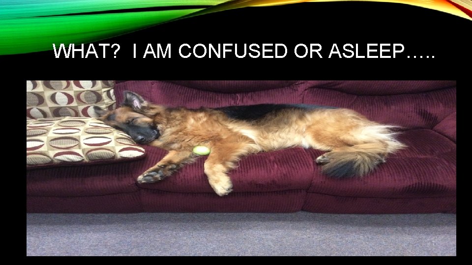 WHAT? I AM CONFUSED OR ASLEEP…. . • ADD A PICTURE 