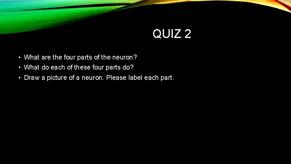 QUIZ 2 • What are the four parts of the neuron? • What do