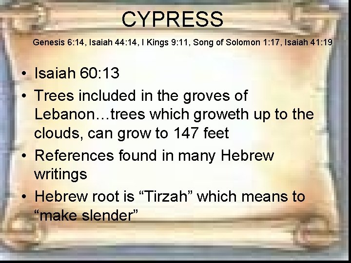 CYPRESS Genesis 6: 14, Isaiah 44: 14, I Kings 9: 11, Song of Solomon CYPRESS Genesis 6: 14, Isaiah 44: 14, I Kings 9: 11, Song of Solomon