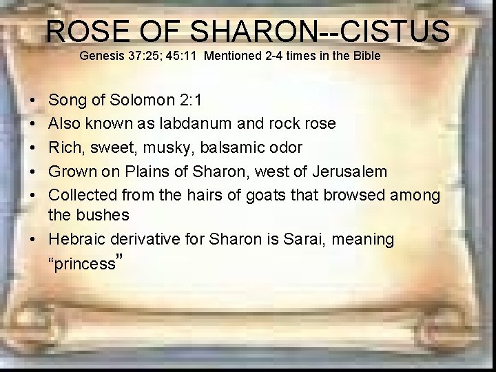 ROSE OF SHARON--CISTUS Genesis 37: 25; 45: 11 Mentioned 2 -4 times in the ROSE OF SHARON--CISTUS Genesis 37: 25; 45: 11 Mentioned 2 -4 times in the