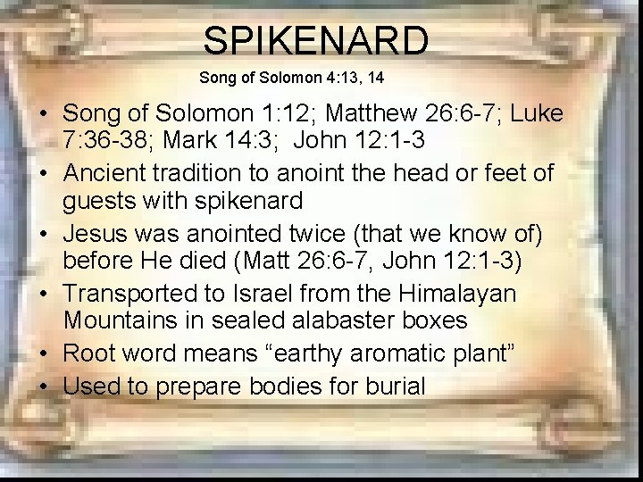 SPIKENARD Song of Solomon 4: 13, 14 • Song of Solomon 1: 12; Matthew SPIKENARD Song of Solomon 4: 13, 14 • Song of Solomon 1: 12; Matthew