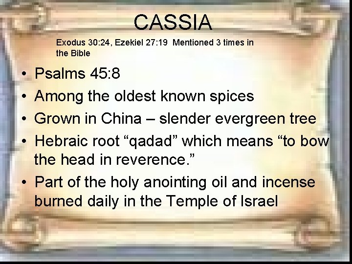 CASSIA Exodus 30: 24, Ezekiel 27: 19 Mentioned 3 times in the Bible • CASSIA Exodus 30: 24, Ezekiel 27: 19 Mentioned 3 times in the Bible •