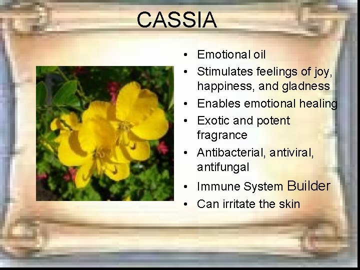 CASSIA • Emotional oil • Stimulates feelings of joy, happiness, and gladness • Enables CASSIA • Emotional oil • Stimulates feelings of joy, happiness, and gladness • Enables