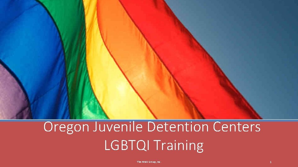 Oregon Juvenile Detention Centers LGBTQI Training The Moss Group, Inc. 1 