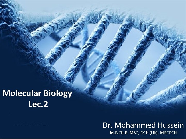 Molecular Biology Lec. 2 Dr. Mohammed Hussein M. B. Ch. B, MSC, DCH (UK),