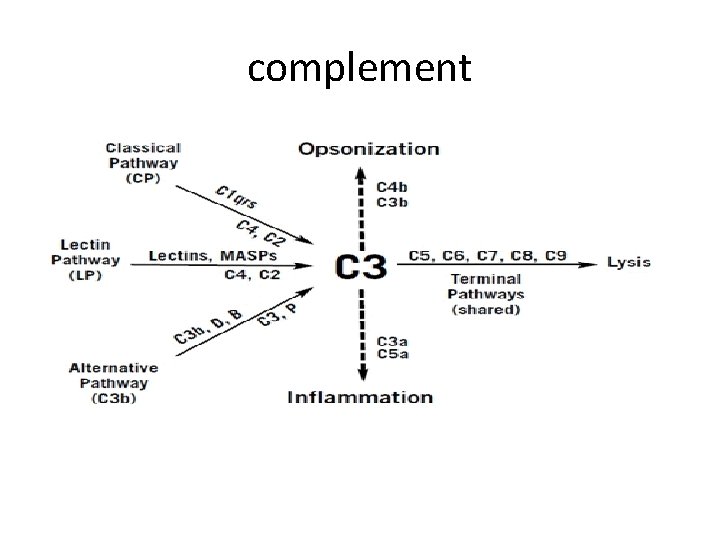 complement 