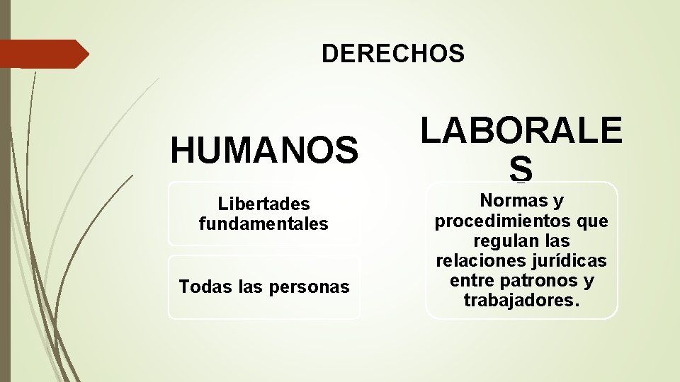 DERECHOS HUMANOS Libertades fundamentales Todas las personas LABORALE S Normas y procedimientos que regulan