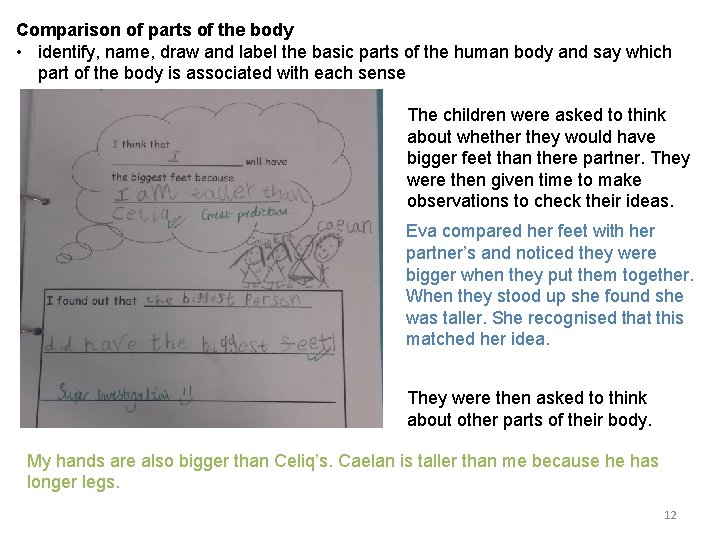 Comparison of parts of the body • identify, name, draw and label the basic