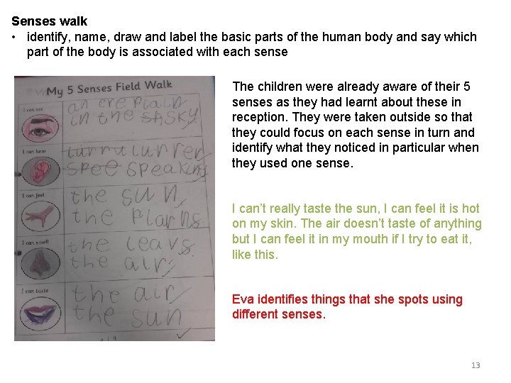 Senses walk • identify, name, draw and label the basic parts of the human