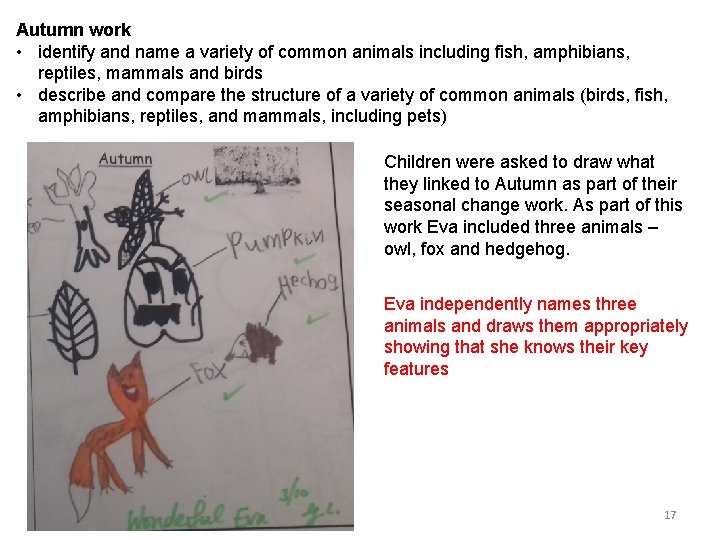 Autumn work • identify and name a variety of common animals including fish, amphibians,