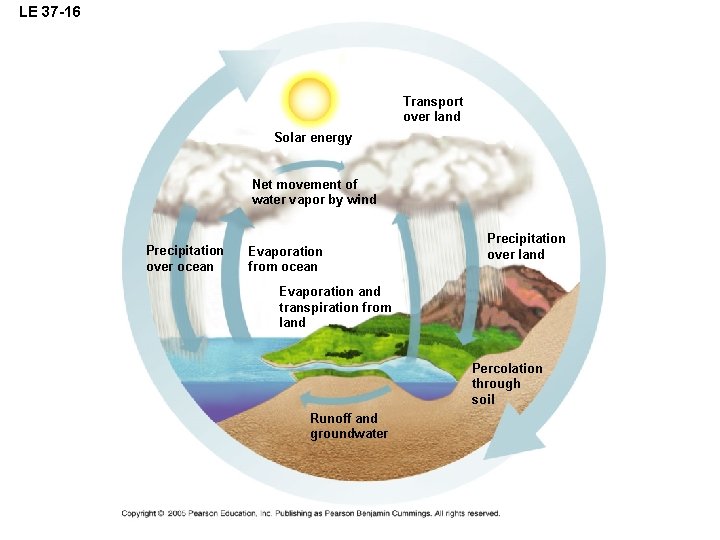 LE 37 -16 Transport over land Solar energy Net movement of water vapor by