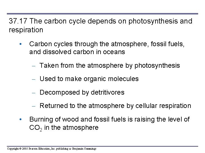 37. 17 The carbon cycle depends on photosynthesis and respiration • Carbon cycles through