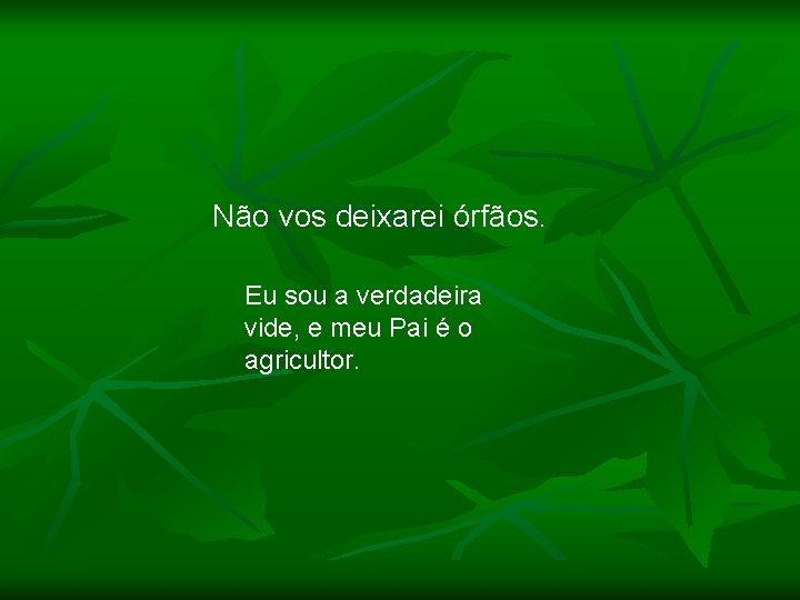 Não vos deixarei órfãos. Eu sou a verdadeira vide, e meu Pai é o