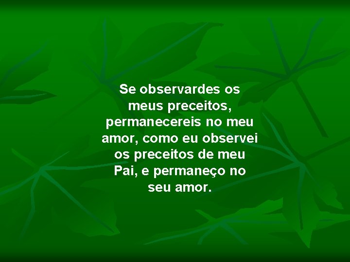 Se observardes os meus preceitos, permanecereis no meu amor, como eu observei os preceitos