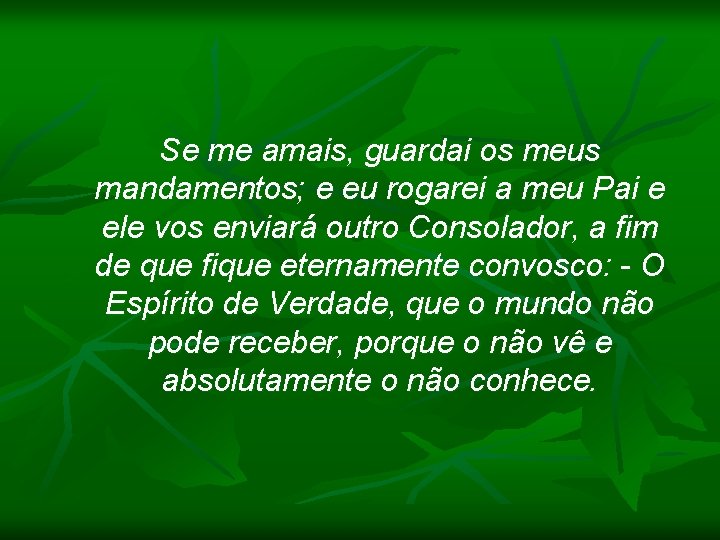 Se me amais, guardai os meus mandamentos; e eu rogarei a meu Pai e