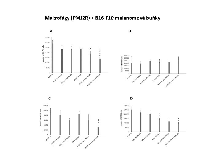 Makrofágy (PMJ 2 R) + B 16 -F 10 melanomové buňky 