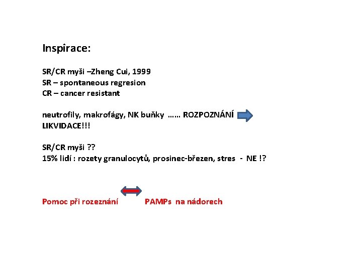 Inspirace: SR/CR myši –Zheng Cui, 1999 SR – spontaneous regresion CR – cancer resistant