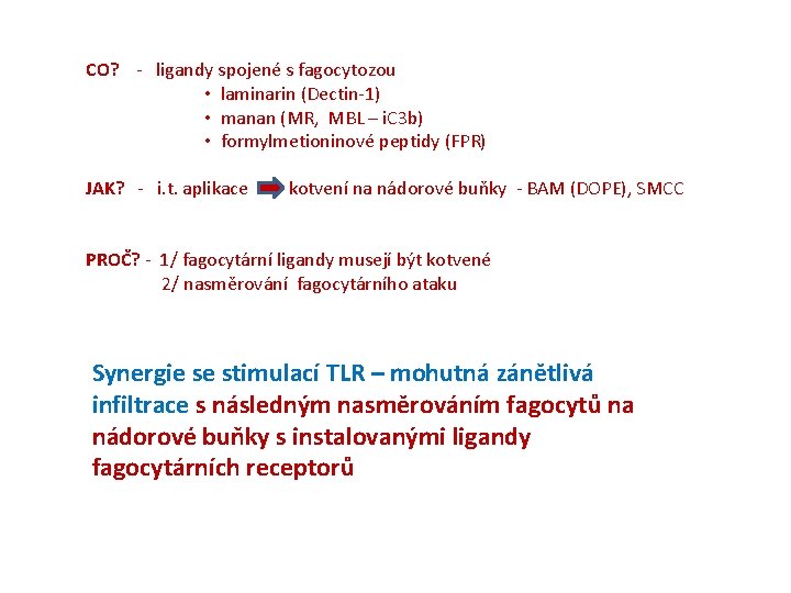 CO? - ligandy spojené s fagocytozou • laminarin (Dectin-1) • manan (MR, MBL –
