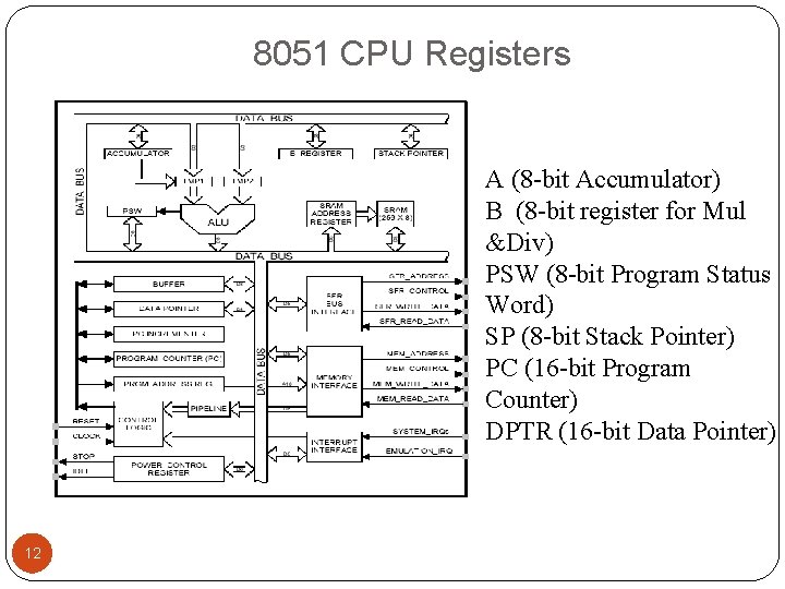 8051 CPU Registers A (8 -bit Accumulator) B (8 -bit register for Mul &Div)