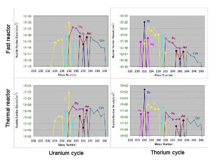 Uranium cycle Thorium cycle Thermal reactor Fast reactor 