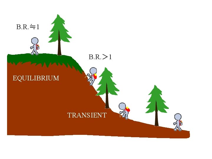 B. R. ≒ 1 B. R. ＞ 1 EQUILIBRIUM TRANSIENT 